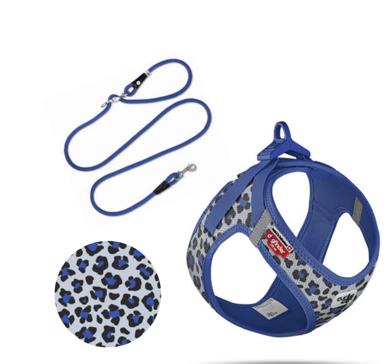 Curli Vest Harness Air-Mesh SE27 Leopard Blau+ Leine  / Vorbestellung /Lieferrung ca. ende April 2027