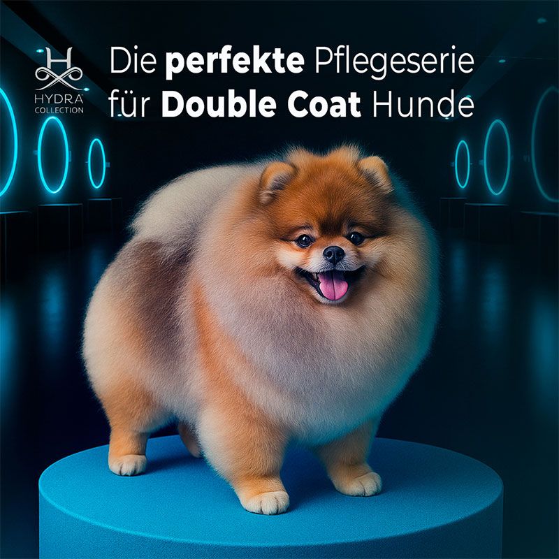 Pomeranian Serie