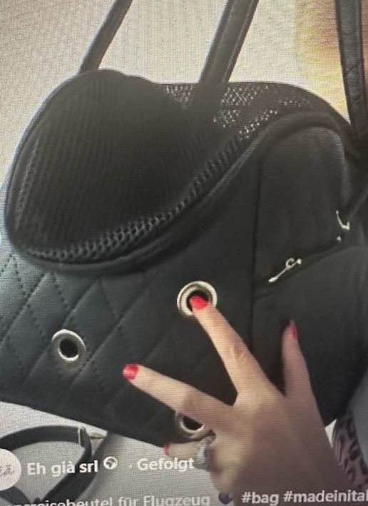 Eh ' Gia Tragetasche / Flugtasche