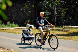 InnoPet® Fahrradanhänger "Sporty Trailer" - IPS-055 - grau