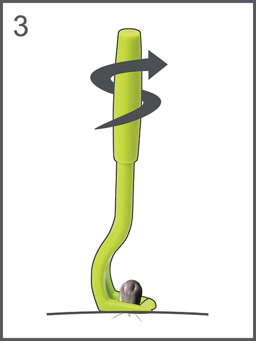 TICK TWISTER® Clipbox mit 3 Zeckenhaken