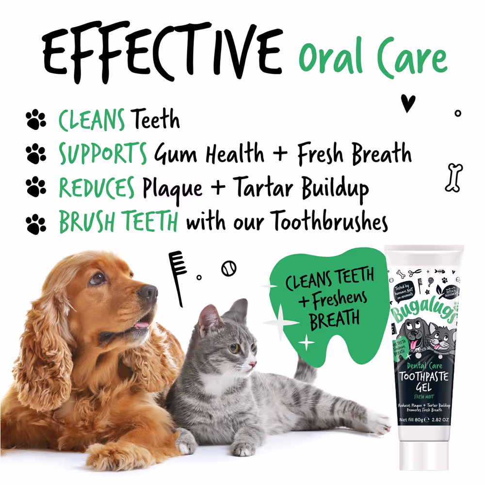 Bugalugs Dental Care Zahnpasta-Gel 75g – Zahnpasta für Hunde und Katzen, Minzgel