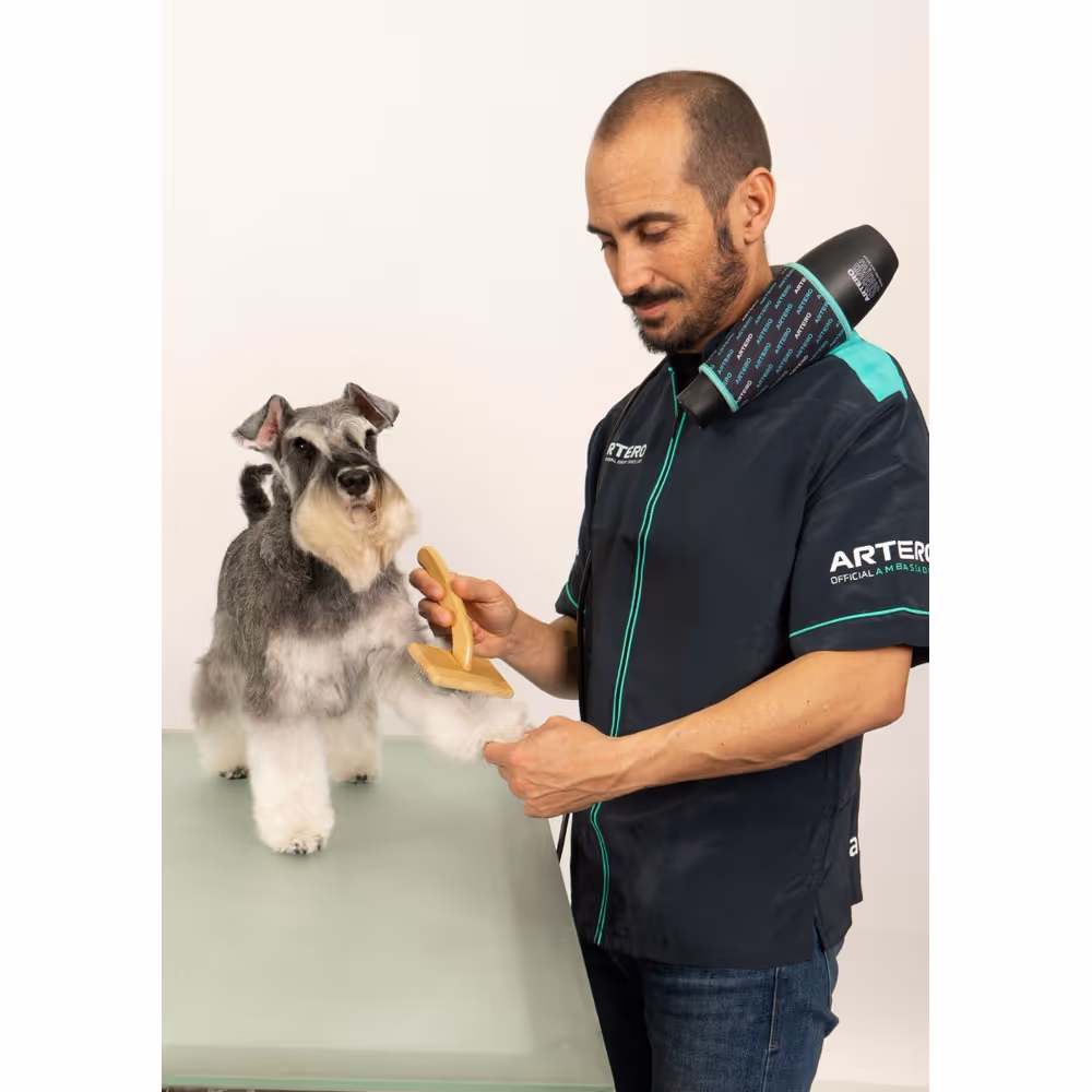 Artero Snake Hands Free Hair Dryer 2400W