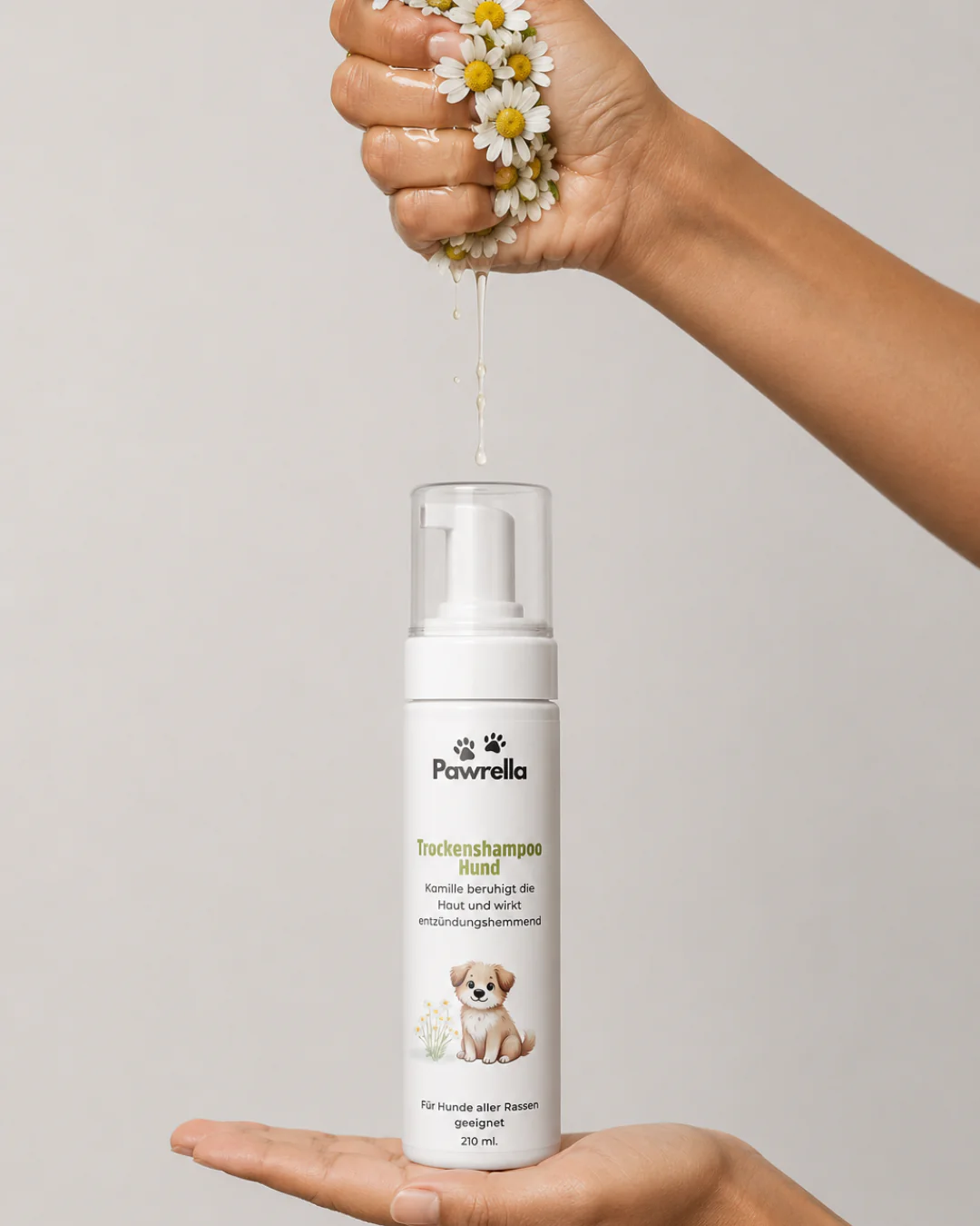 Pawrella Trockenshampoo Hund mit Kamille 250 ml