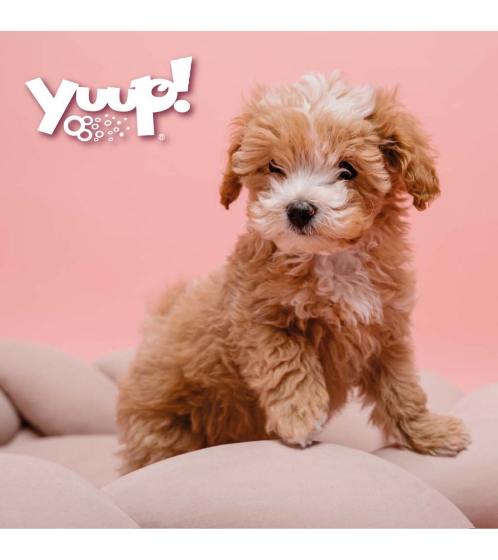 Yuup!® Mildes Hundeshampoo für Welpen und empfindliche Haut