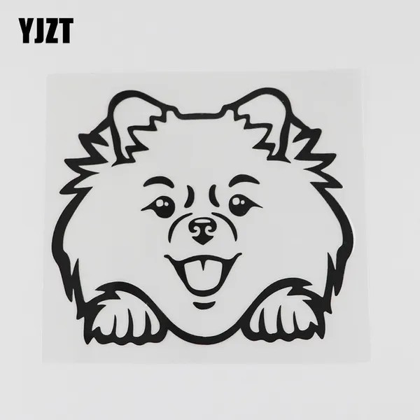 Pomeranian Sticker